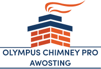 Olympus Chimney Pro