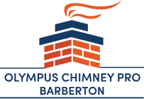 Olympus Chimney Pro