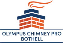 Olympus Chimney Pro
