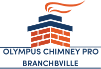Olympus Chimney Pro