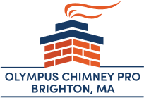 Olympus Chimney Pro
