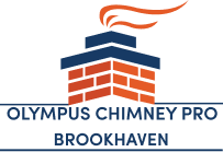 Olympus Chimney Pro