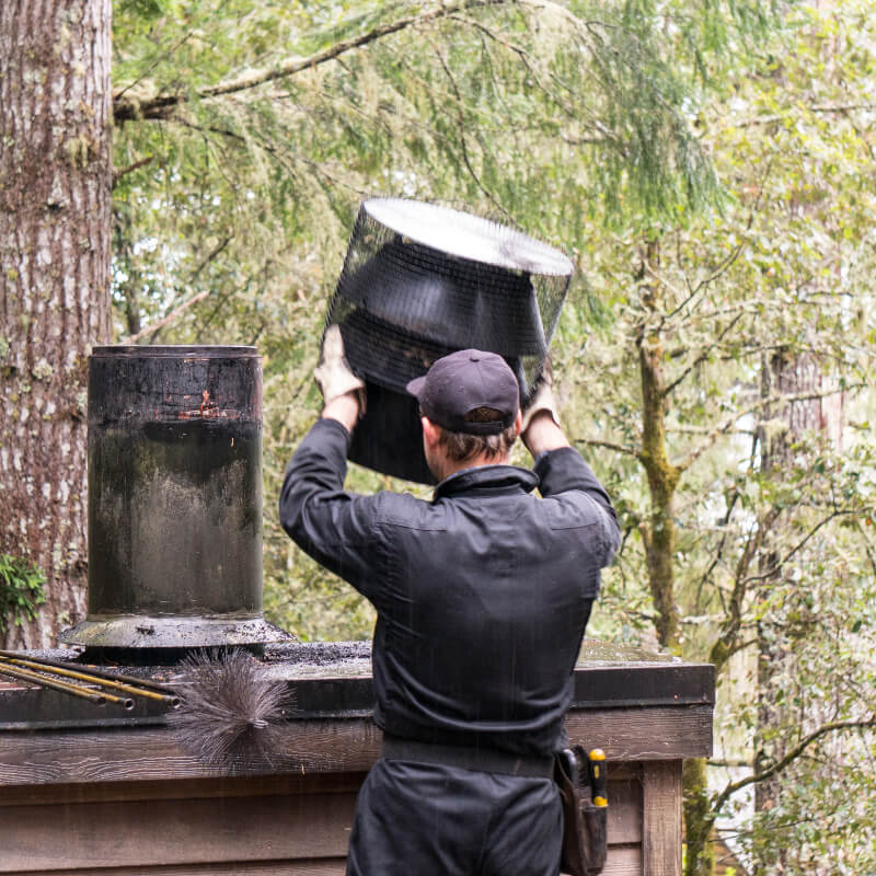 Chimney Inspection