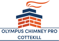 Olympus Chimney Pro