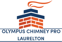 Olympus Chimney Pro