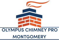 Olympus Chimney Pro