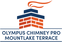 Olympus Chimney Pro