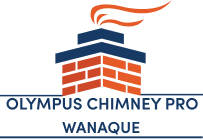 Olympus Chimney Pro